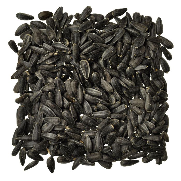 sunflower seeds unshelled