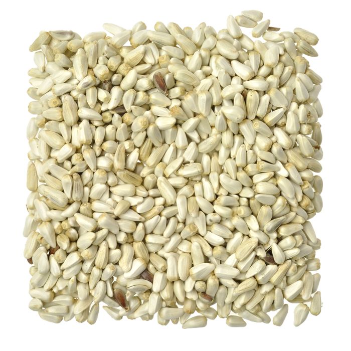 Safflower Seed, 1 - 50 lbs.