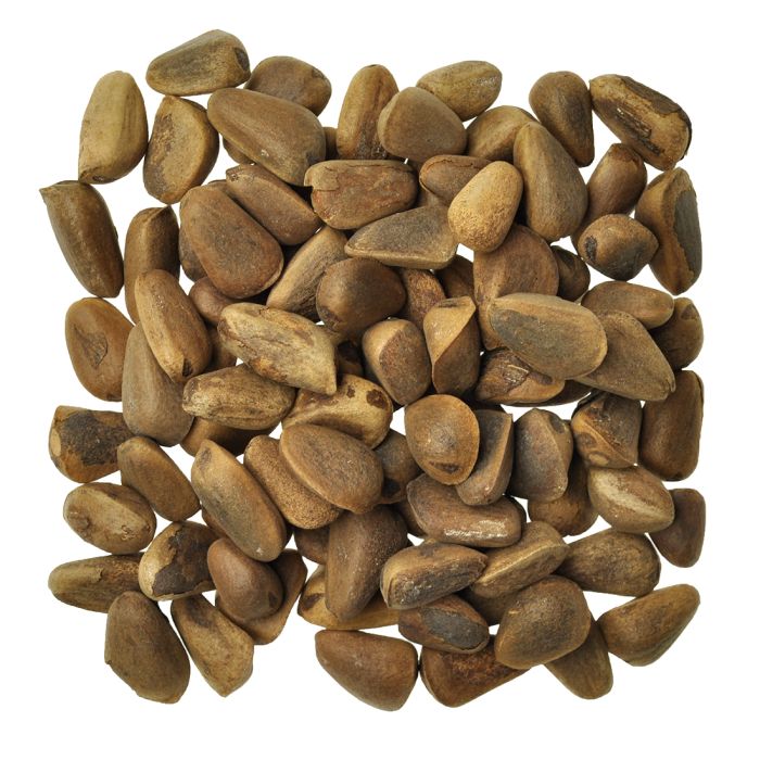 Pine Nuts