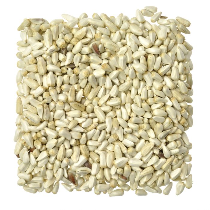 Can Chickens Eat Safflower Seeds: Nutritional Benefits & Tips