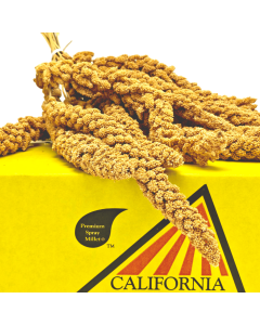 California Spray Millet®, 1 - 25 lbs.