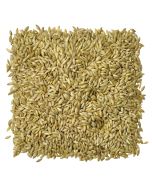 Canary Seed