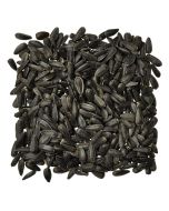 Black Oil Sunflower Seed, 2 lb. - 50 lb.