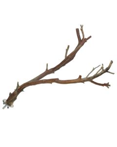 Manzanita Multi-Branch Perch