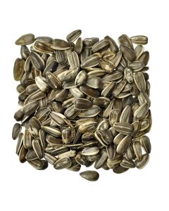 Medium Black Sunflower Seed