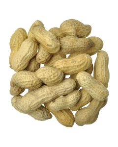 Peanuts