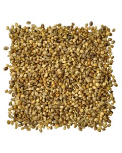 Hemp Seed, 3 - 50 lbs.