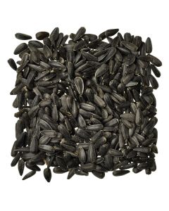 Black Oil Sunflower Seed, 2 lb. - 50 lb.