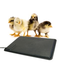 Chick Heated Pad