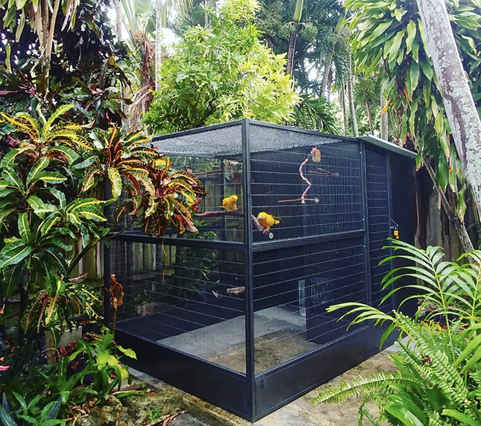 Birdloft in use